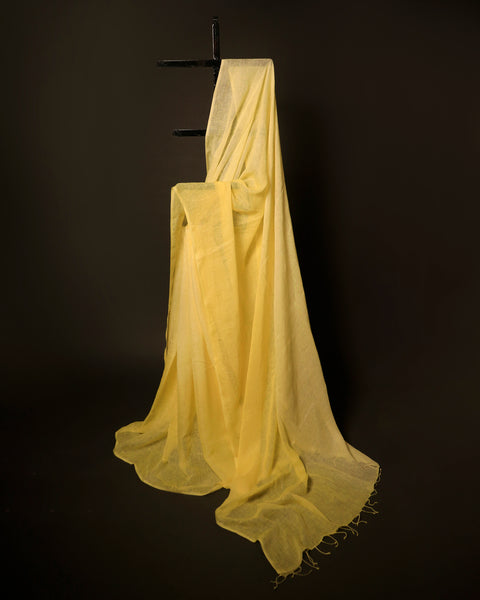 Golden Glow Yellow Linen Shaded Saree